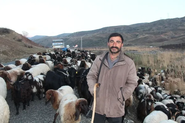 siirtte-coban-bulamiyorlar-maaslar-10-bin-tl-1638788516565.jpg Siirt’te çoban bulamıyorlar! Maaşlar 10 bin TL - 2