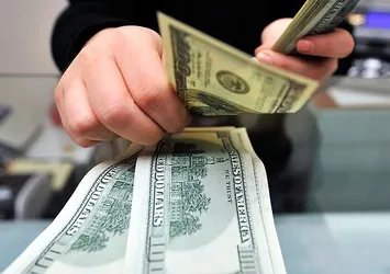 Ekonomist görünümlü spekülatör! "Dolar 50 TL olacak" diyerek vatandaşı dolandırdılar