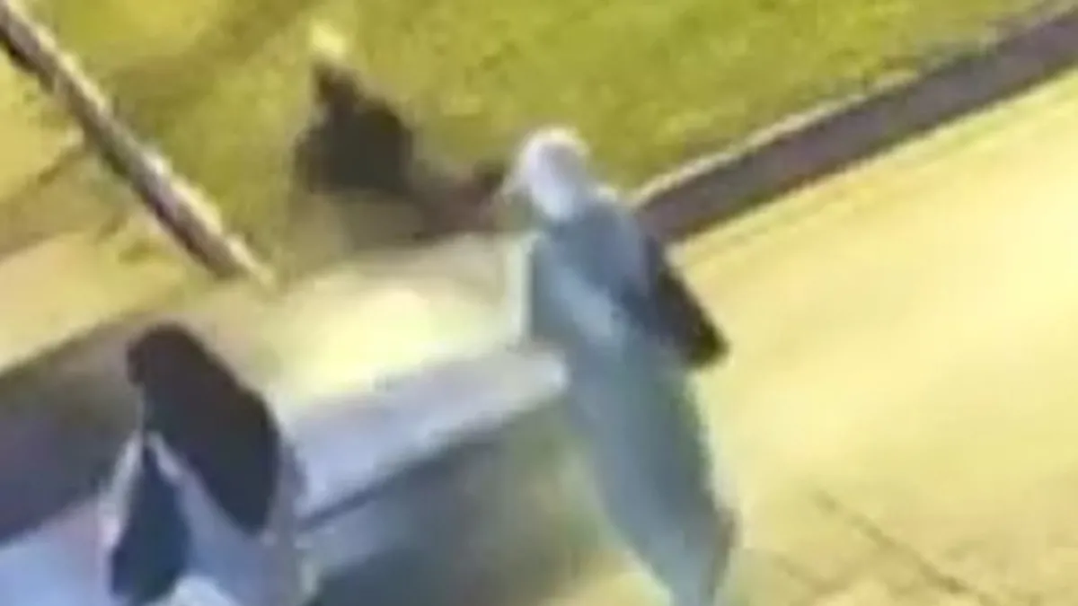 Adana'da trafikte katliam! Yaya geçidindeki feci kaza kamerada...