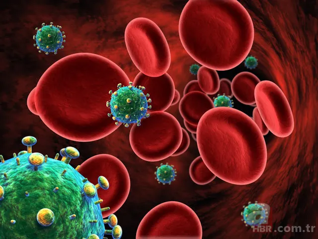 Akciğer kanseri belirtileri nelerdir? 16