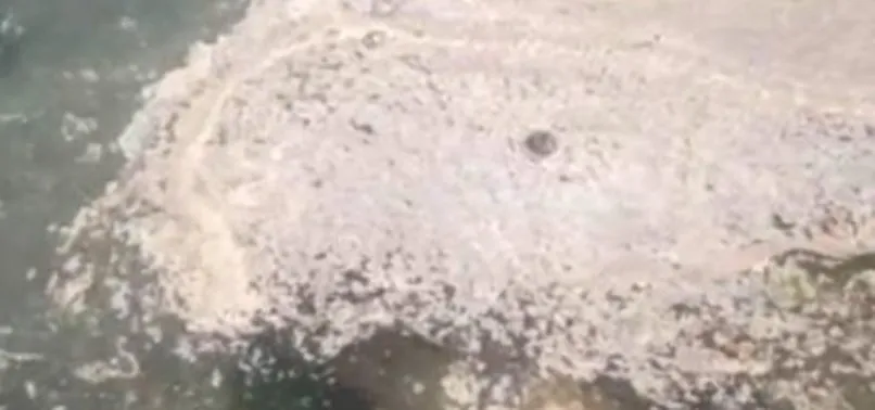 Büyükada’da müsilaja benzer kirlilik görüldü