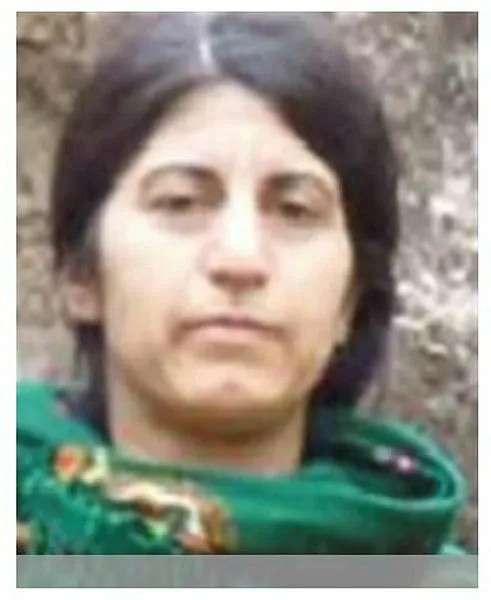 Son dakika: İçişleri Bakanı Süleyman Soylu açıkladı! Gri kategoriden Ruken kod adlı Songül Özgün ölü ele geçirildi