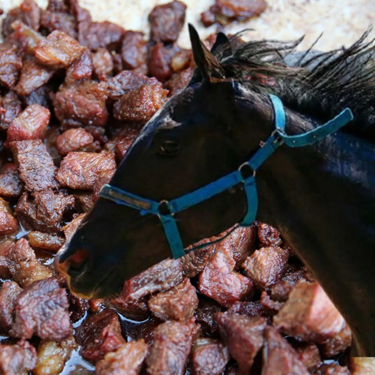 CHP'li Mersin Büyükşehir Belediyesi'nden at etli kavurma: İçinden çip çıktı
