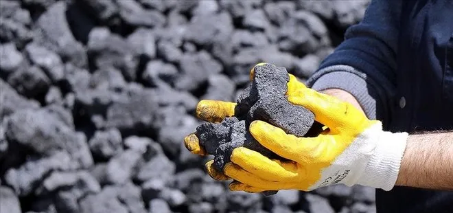 Polonya’dan Rus kömürüne yasak