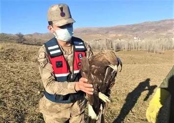 Mehmetçik şefkat elini uzattı