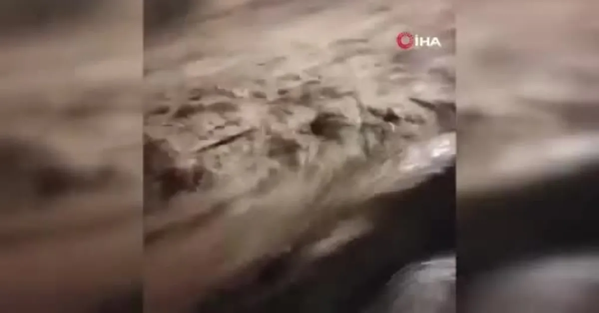 Peru’da sel felaketi 30 bina yıkıldı