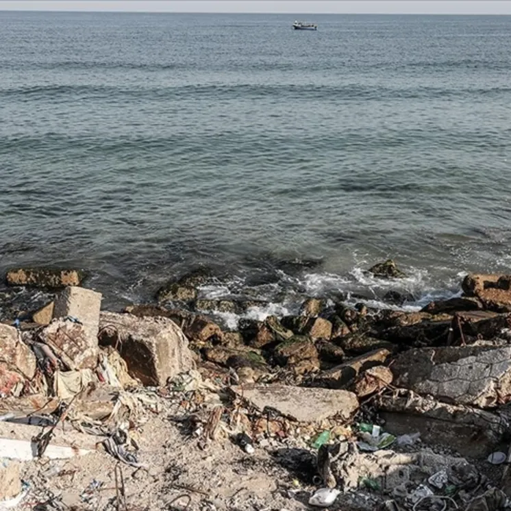 Katil Netanyahu çevreyi de yok ediyor!