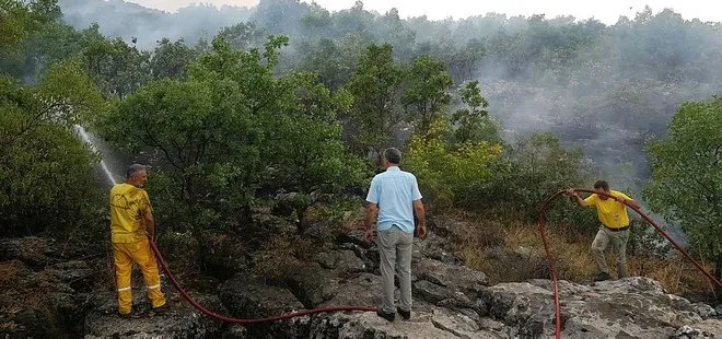 Tele1 ve HDP’den Lice’deki yangın hakkında algı operasyonu