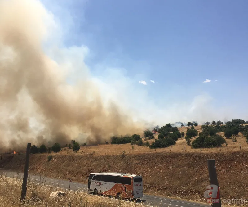 Kahramanmaraş'taki orman yangınının nedeni ortaya çıktı! Torpil şakası 80 hektarı küle döndürdü 2