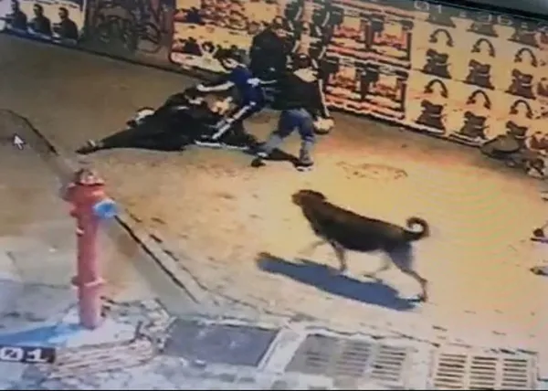 istanbulda-dehset-anlari-onlerini-kesip-para-istediler-vermeyince-bicakladilar-1669459346666.jpg İstanbul’da dehşet anları! Önlerini kesip para istediler vermeyince bıçakladılar - 5