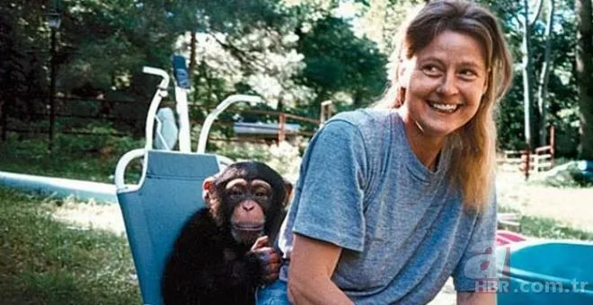 Evcil maymun genç kadını saniyeler içinde parçaladı! Kana susamış haldeydi | Dehşet dolu anların telefon kaydı kan dondurdu 3