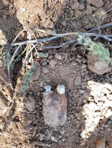 goren-emniyeti-aradi-manisada-patlamamis-el-bombasi-bulundu-1652038539748.jpg Gören emniyeti aradı: Manisa’da patlamamış el bombası bulundu! - 1
