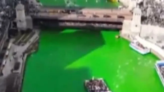 Nehir yeşile boyandı