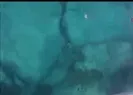 Tek yaptığı bağırmak oldu!