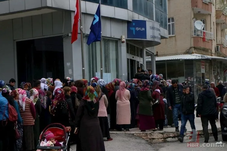 110 bin personel alımı başladı! KPSS yok: İlkokul diploması olan İŞKUR’un kapısında 24