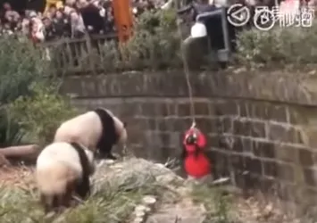 Hayvanat bahçesinde kan donduran anlar!