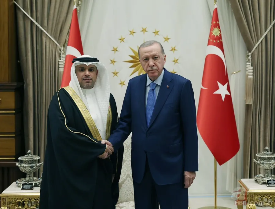 Büyükelçilerden Başkan Erdoğan'a güven mektubu! 4