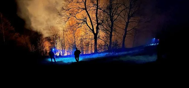 Sakarya’da orman yangını! Kontrol altına alınmıştı yeniden başladı