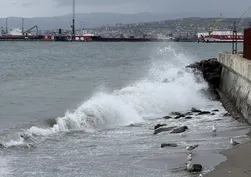 Tekirdağ'da deniz ulaşımına poyraz engeli