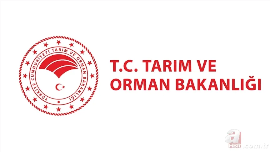 Tarım ve Orman Bakanlığı işçi alımı branş ve kontenjanlar | 200 sözleşmeli personel alımı başvuruları nereden yapılır? 5