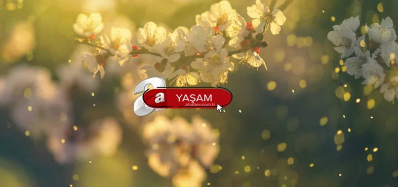 İlk cemre düştü mü? 2022 cemreler ne zaman düşecek? Havalar ne zaman ısınacak? Yaz mevsimi başlangıç tarihi!