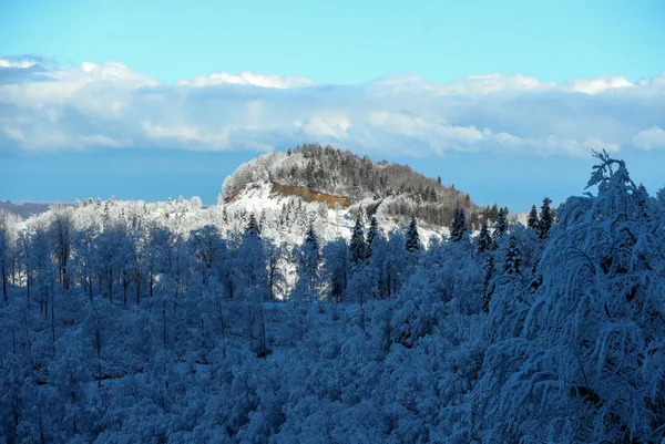 meteoroloji-hava-durum-raporunu-paylasti-istanbul-dahil-bircok-ile-kar-ve-saganak-uyarisi-dikkat-aksam-saatler-1671607185850.jpg Kara kış kapıda ❄️ Zemheri günleri geliyor | İstanbul'a kar ne zaman yağacak? ☃ Güneşe aldanmayın diyerek uyardı - 3