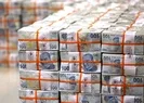 Bakan Nebati: 100 milyar liraya ulaşacak