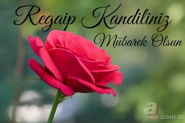 Regaip Kandili mesajları 2021: En iyi, anlamlı, dualı kandil mesajları burada! WhatsApp, SMS, Facebook kandil mesajı... 4