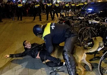 Avrupa Birliği, Hollanda'nın skandalına gözlerine kapadı