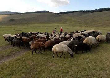 Doğu ve Güneydoğu için yeni eylem planı