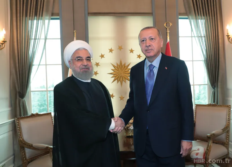 Başkan Erdoğan'dan Putin ve Ruhani'ye incir ikramı 15