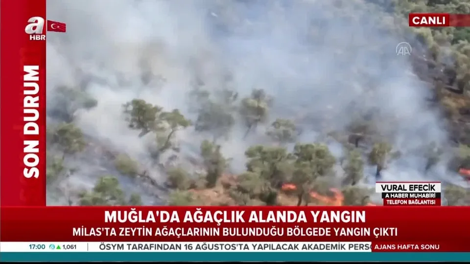 Son Dakika Mugla Milas Ta Orman Yangini Cikti A Haber Muhabiri Son Durumu Aktardi Video Izle Flas Haber Ahaber Video Izle