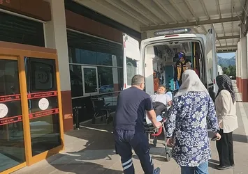 Ailesiyle gittiği piknikte kabusu yaşadı! Engerek yılanı tarafından ısırıldı