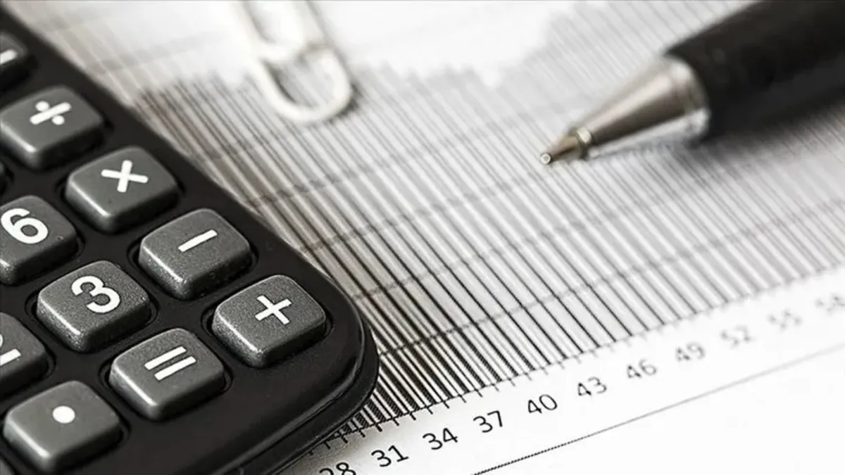 Vergi yüzsüzleri ifşa edildi! Listede kimler var?