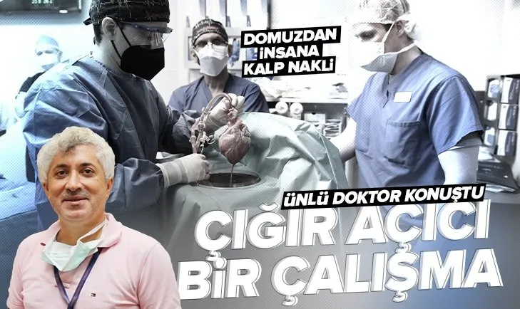 Domuzdan insana kalp nakli! Ünlü doktor Ömer Özkan dünyanın konuştuğu çalışmayı değerlendirdi: Çığır açıcı bir çalışma