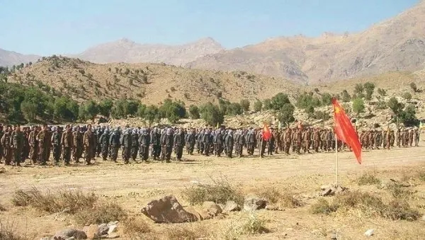 Son dakika: Terör örgütü PKK'da panik büyüyor! Teröristler 'firar hakkı' istemiş - 2