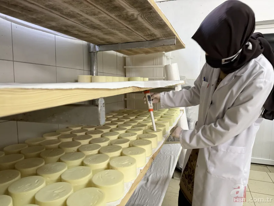 200 litreden 7 tona uzanan dev yolculuk: Sofraların lezzeti onlara emanet 4