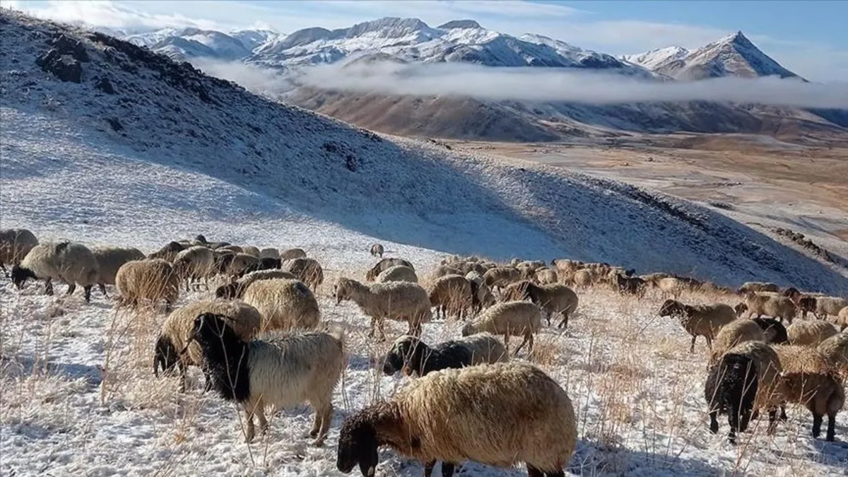Faraşin Yaylası'nda kar yağışı etkili oldu