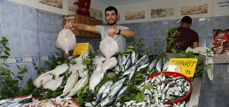 Ordu'da balıkçı tezgahları dolmaya başladı