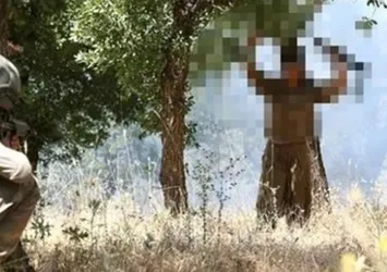 Son dakika: 3 terörist teslim oldu