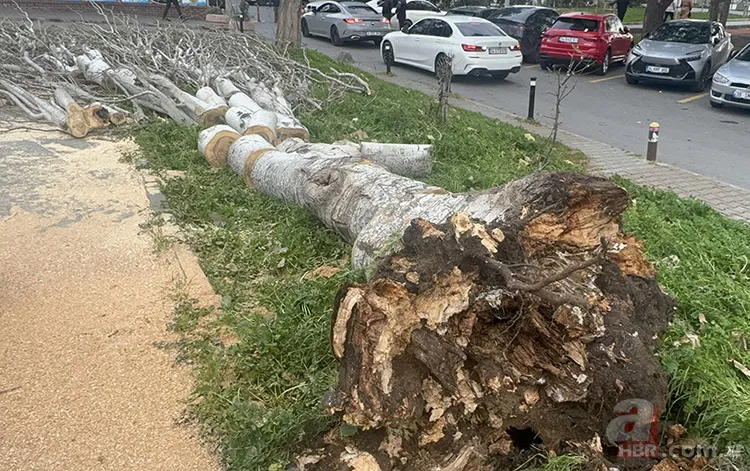 İstanbul'da fırtına kabusu: Hasarları sigorta karşılayacak mı? 1