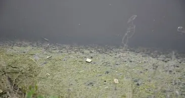 O bölgede yaşayanlar dikkat! Suyu 3’üncü derece kirli çıktı: Felaket durumda