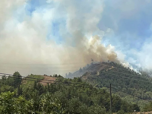 hatayda-orman-yangini-1691315415496.jpg Hatay'da çıkan orman yangını kontrol altına alındı - 3