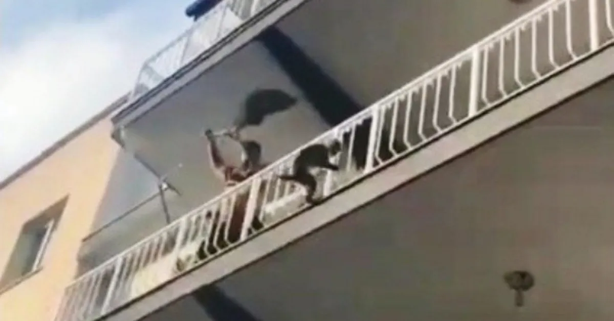 Maymun firarda! Balıkçı ağıyla yakaladı