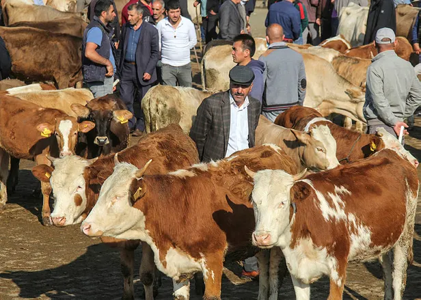 Son dakika: Kurban Bayramı genelgesi yayımlandı mı? Bayramda sokağa çıkma yasağı var mı?