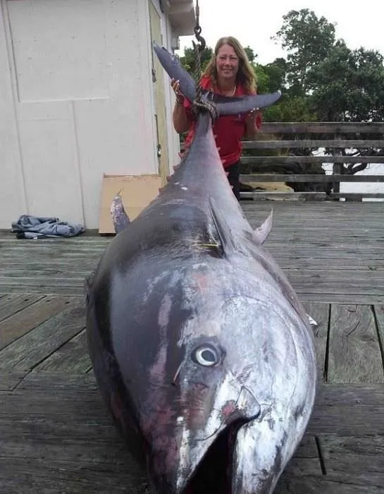 Balıkçı kadın dev balık yakaladı!