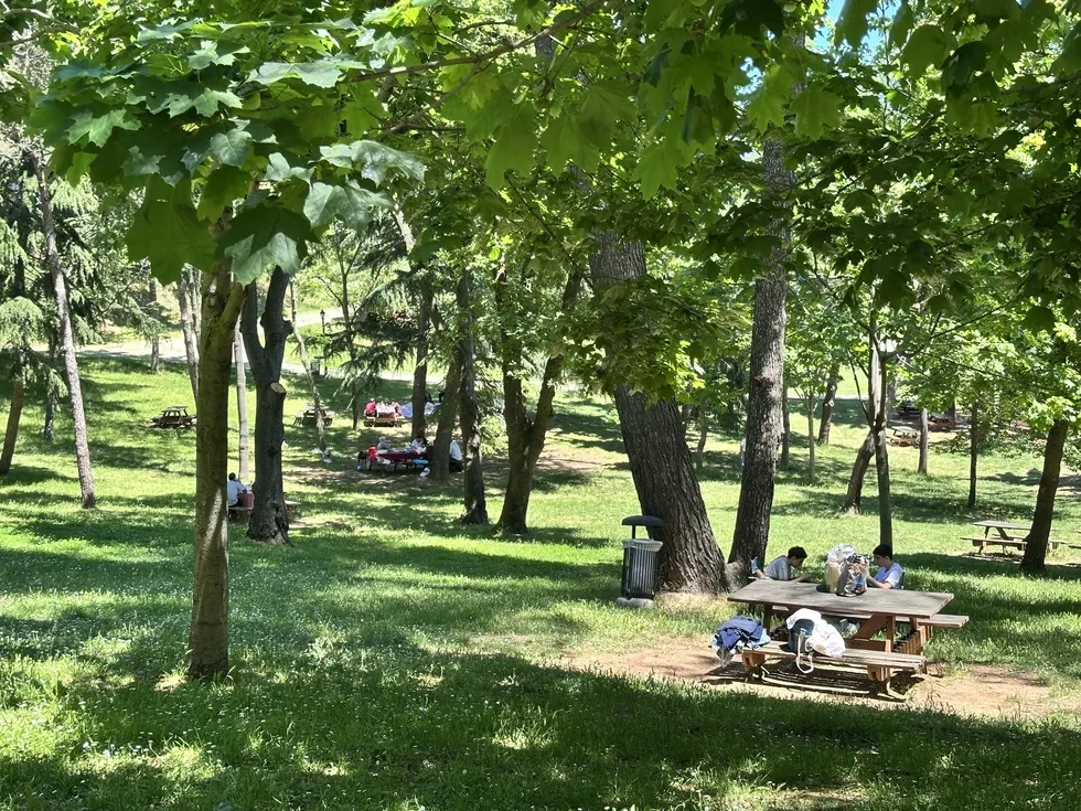 Meteoroloji 5 günlük haritayı paylaştı: Yaz güneşi yerini sağanağa bırakacak - 10