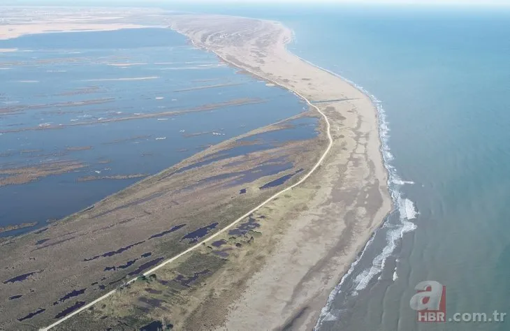 Kızılırmak Deltası Kuş Cenneti tehdit altında: Geri dönüşsüz bir noktaya gidebiliriz