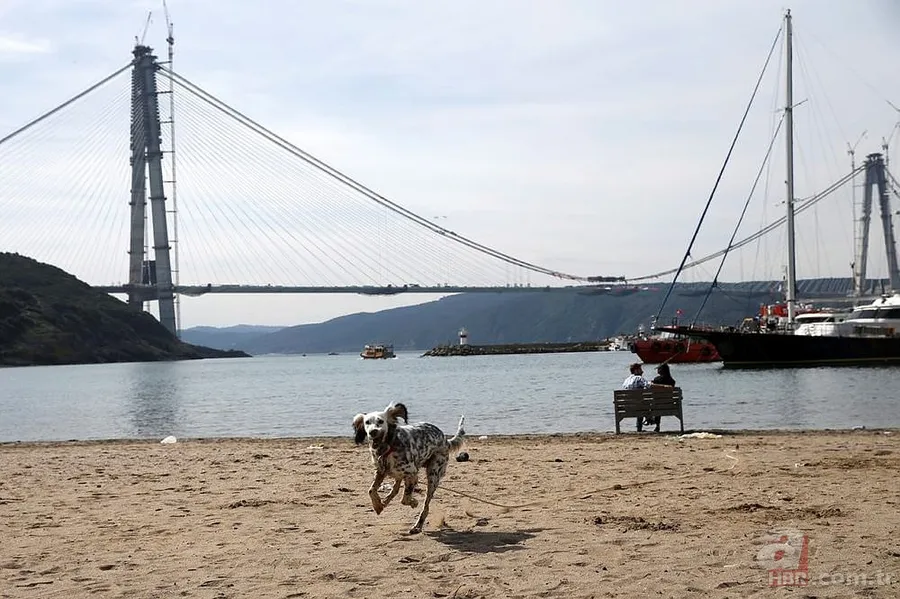 Üçüncü Köprü'nün teknik özellikleri neler? 18