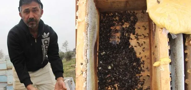 Böyle kin görülmedi!